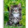 2025 Planners|BrownTrout 2025 Kittens 6" x 7.75" Weekly Engagement Planner, Paper Cover, Multicolored (9781975473136)