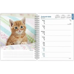 2025 Planners|BrownTrout 2025 Kittens 6