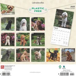 2025 Calendars|BrownTrout 2025 Labradoodles 12" x 24" Monthly Square Wall Calendar, (9781975477295)