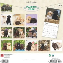 2025 Calendars|BrownTrout 2025 Labrador Retriever Puppies 12" x 12" Monthly Wall Calendar (9781975477301)