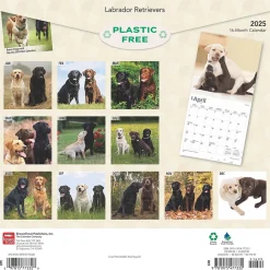 2025 Calendars|BrownTrout 2025 Labrador Retrievers 12" x 12" Monthly Wall Calendar (9781975477332)