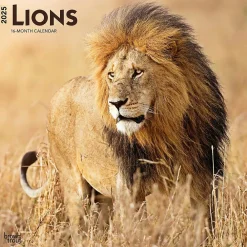 2025 Calendars|BrownTrout 2025 Lions 12" x 12" Monthly Wall Calendar (9781975476458)