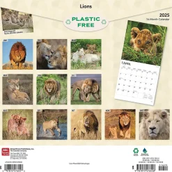 2025 Calendars|BrownTrout 2025 Lions 12" x 12" Monthly Wall Calendar (9781975476458)