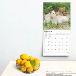 2025 Calendars|BrownTrout 2025 Lions 12