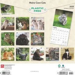 2025 Calendars|BrownTrout 2025 Maine Coon Cats 12" x 24" Monthly Square Wall Calendar, (9781975477387)