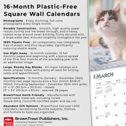 2025 Calendars|BrownTrout 2025 Maine Coon Cats 12