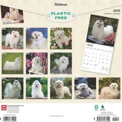 2025 Calendars|BrownTrout 2025 Maltese 12" x 12" Monthly Square Wall Calendar (9781975477400)