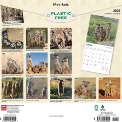 2025 Calendars|BrownTrout 2025 Meerkats 12" x 12" Monthly Square Wall Calendar (9781975475215)