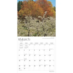 2025 Calendars|BrownTrout 2025 Michigan Nature 12