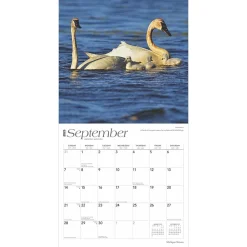 2025 Calendars|BrownTrout 2025 Michigan Nature 12