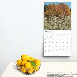 2025 Calendars|BrownTrout 2025 Michigan Nature 12