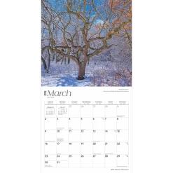 2025 Calendars|BrownTrout 2025 Minnesota Wild & Scenic 12