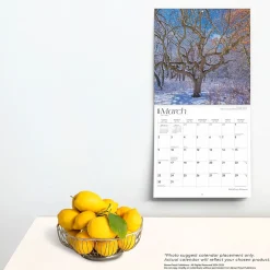 2025 Calendars|BrownTrout 2025 Minnesota Wild & Scenic 12