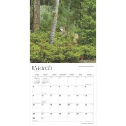 2025 Calendars|BrownTrout 2025 Montana Wild & Scenic 12
