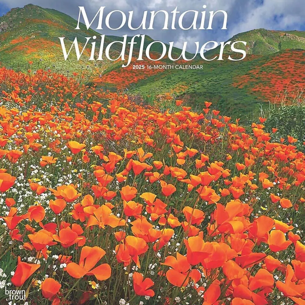 2025 Calendars|BrownTrout 2025 Mountain Wildflowers 12" x 12" Monthly Square Wall Calendar (9781975476038)
