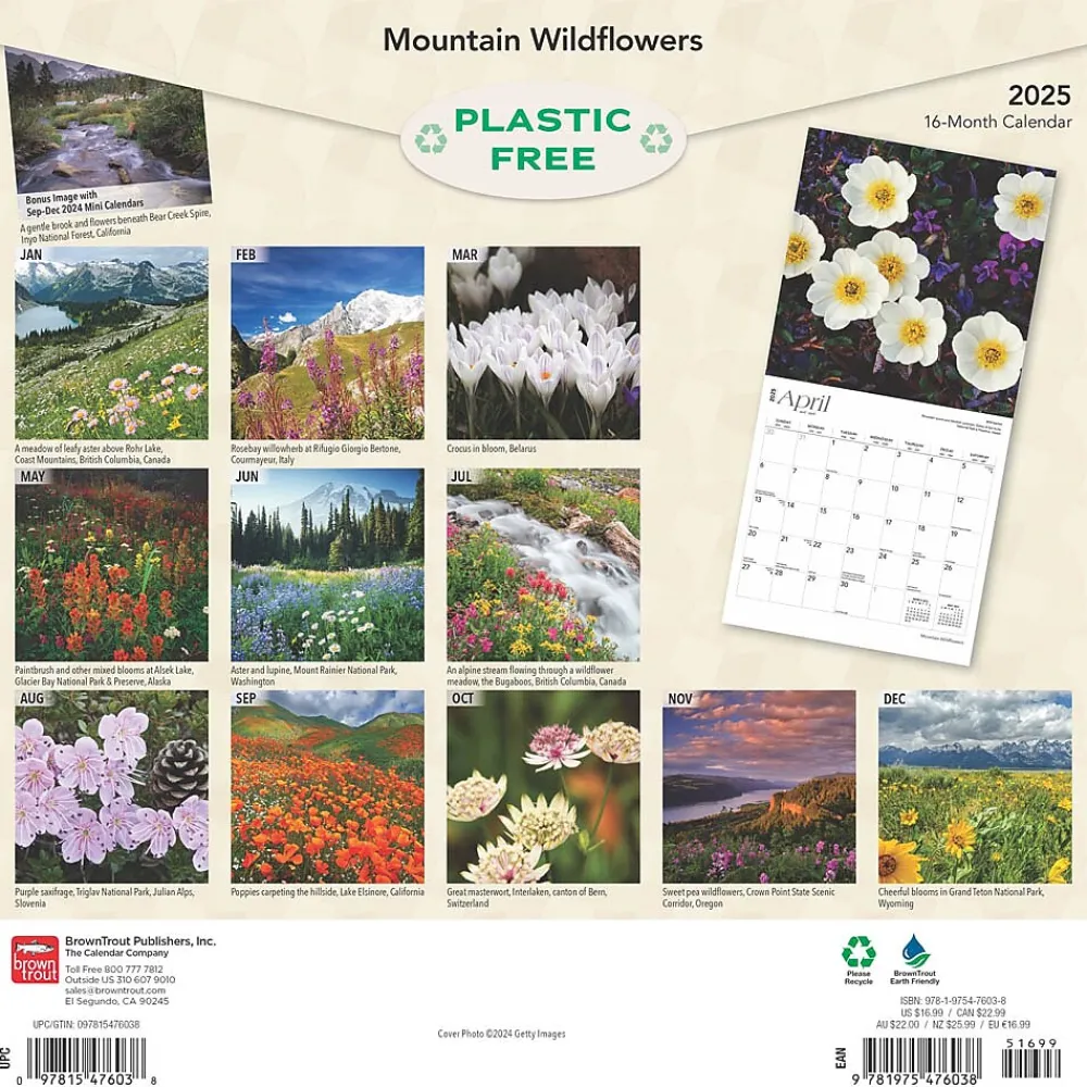 2025 Calendars|BrownTrout 2025 Mountain Wildflowers 12" x 12" Monthly Square Wall Calendar (9781975476038)