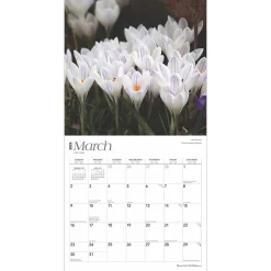 2025 Calendars|BrownTrout 2025 Mountain Wildflowers 12