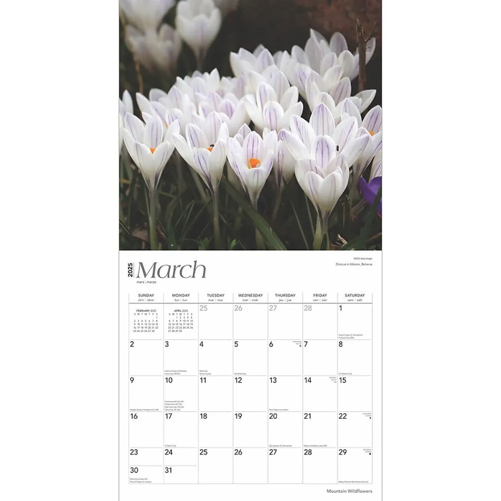 2025 Calendars|BrownTrout 2025 Mountain Wildflowers 12" x 12" Monthly Square Wall Calendar (9781975476038)