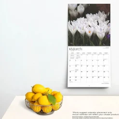 2025 Calendars|BrownTrout 2025 Mountain Wildflowers 12