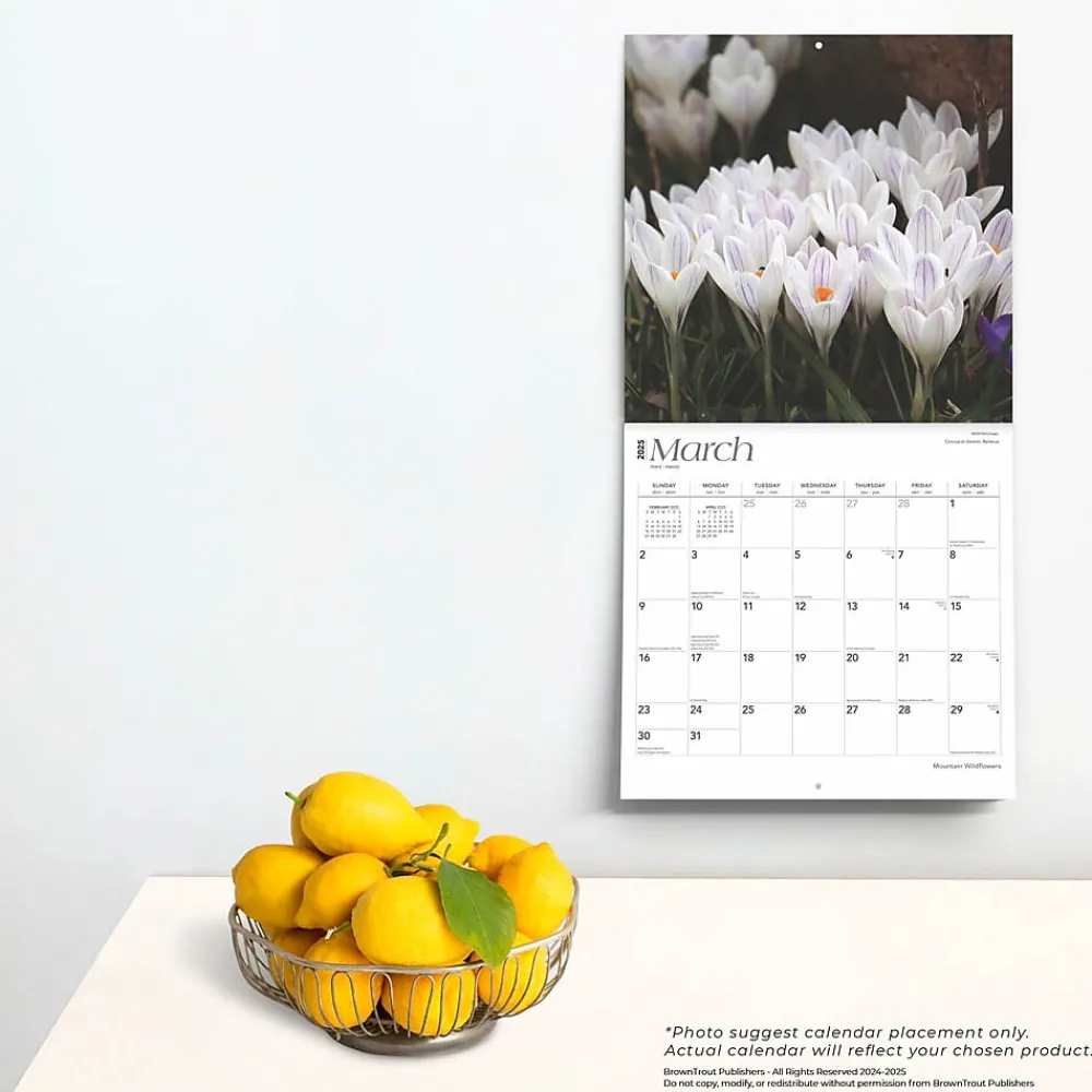 2025 Calendars|BrownTrout 2025 Mountain Wildflowers 12" x 12" Monthly Square Wall Calendar (9781975476038)