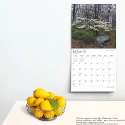 2025 Calendars|BrownTrout 2025 New York Wild & Scenic 12