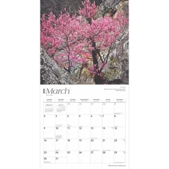 2025 Calendars|BrownTrout 2025 Oklahoma Wild & Scenic 12