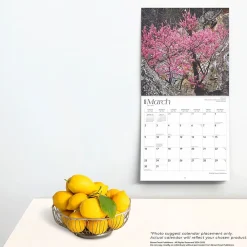 2025 Calendars|BrownTrout 2025 Oklahoma Wild & Scenic 12