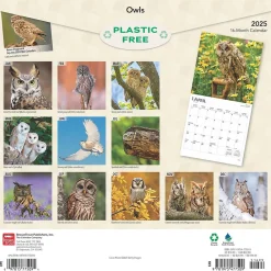 2025 Calendars|BrownTrout 2025 Owls 12" x 12" Monthly Wall Calendar (9781975477509)
