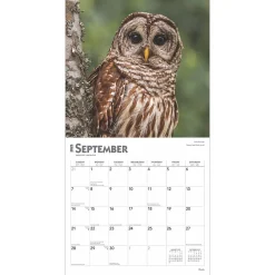 2025 Calendars|BrownTrout 2025 Owls 12