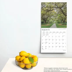 2025 Calendars|BrownTrout 2025 Palmetto State South Carolina Places 12