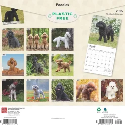 2025 Calendars|BrownTrout 2025 Poodles 12" x 12" Monthly Wall Calendar (9781975477547)