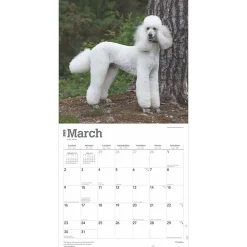 2025 Calendars|BrownTrout 2025 Poodles 12