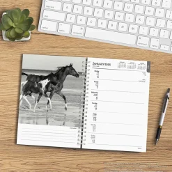 2025 Planners|BrownTrout 2025 Portrait Series: The Noble Horse 6