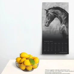 2025 Calendars|BrownTrout 2025 Portrait Series: The Noble Horse 12