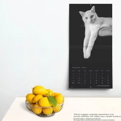 2025 Calendars|BrownTrout 2025 Portrait Series: The Regal Cat 12