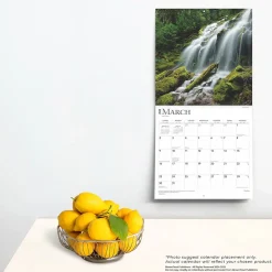 2025 Calendars|BrownTrout 2025 Psalms 12