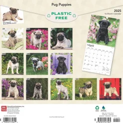 2025 Calendars|BrownTrout 2025 Pug Puppies 12" x 12" Monthly Wall Calendar (9781975477561)