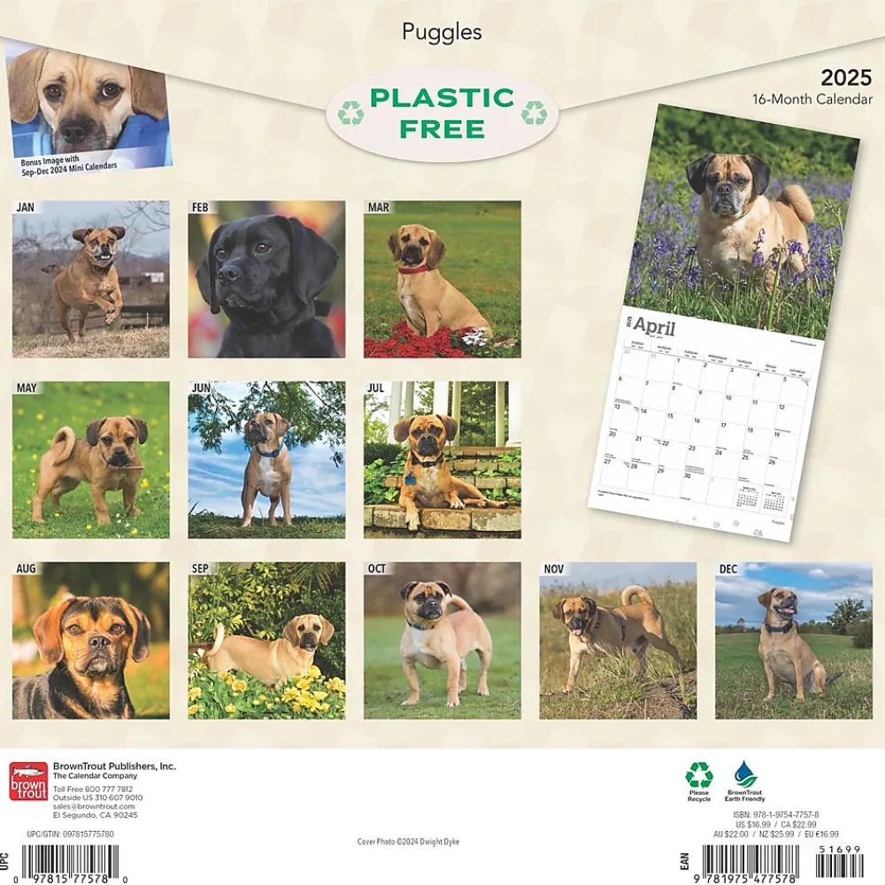 2025 Calendars|BrownTrout 2025 Puggles 12" x 12" Monthly Square Wall Calendar (9781975477578)