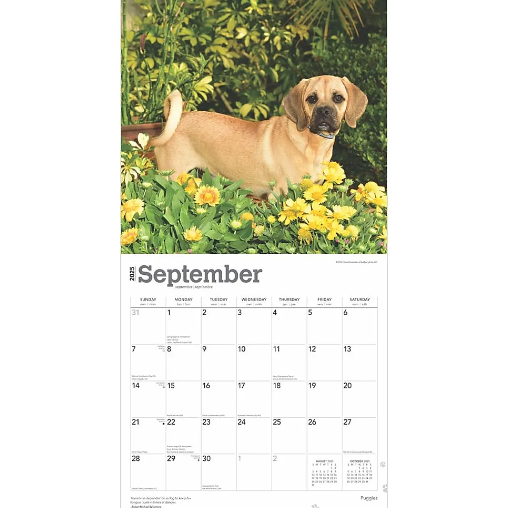 2025 Calendars|BrownTrout 2025 Puggles 12" x 12" Monthly Square Wall Calendar (9781975477578)