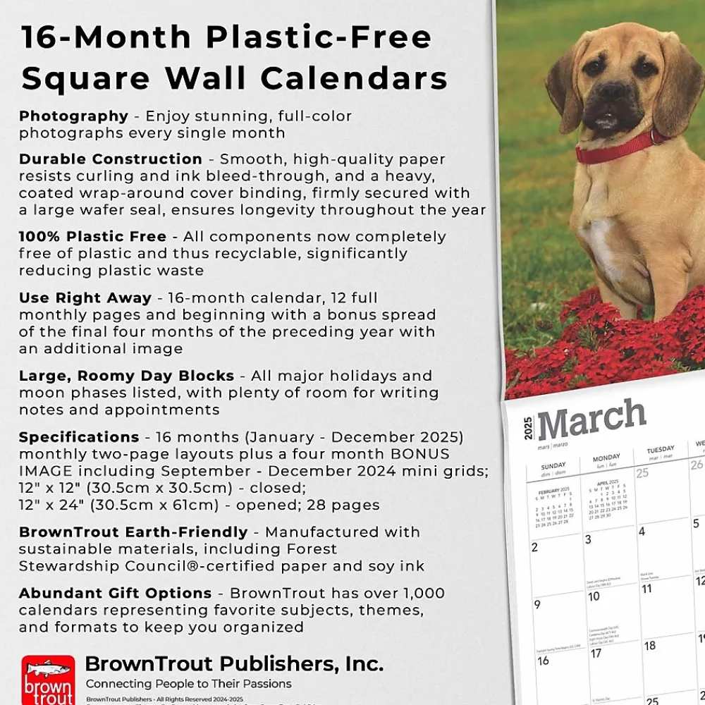 2025 Calendars|BrownTrout 2025 Puggles 12" x 12" Monthly Square Wall Calendar (9781975477578)
