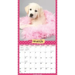 2025 Calendars|BrownTrout 2025 Puppies in Pink 12