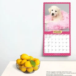 2025 Calendars|BrownTrout 2025 Puppies in Pink 12