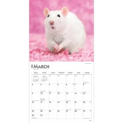 2025 Calendars|BrownTrout 2025 Rats 12