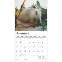2025 Calendars|BrownTrout 2025 Rats 12