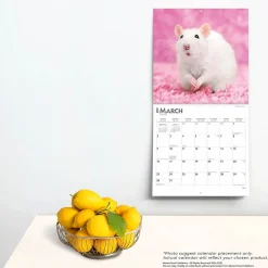 2025 Calendars|BrownTrout 2025 Rats 12