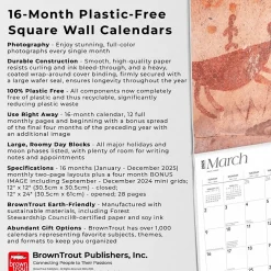 2025 Calendars|BrownTrout 2025 Rock Art of the Southwest 12