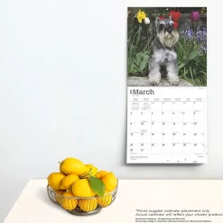 2025 Calendars|BrownTrout 2025 Schnauzers 12
