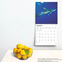 2025 Calendars|BrownTrout 2025 Sharks 12