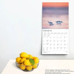 2025 Calendars|BrownTrout 2025 Simplicity 12