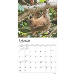 2025 Calendars|BrownTrout 2025 Sloths 12